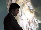 galderma filler cadaveric symposium
